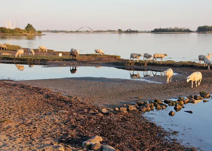 Fischerhaus Lemkenhafen Lemkenhafen auf Fehmarn